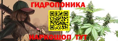 крисы Жуковский
