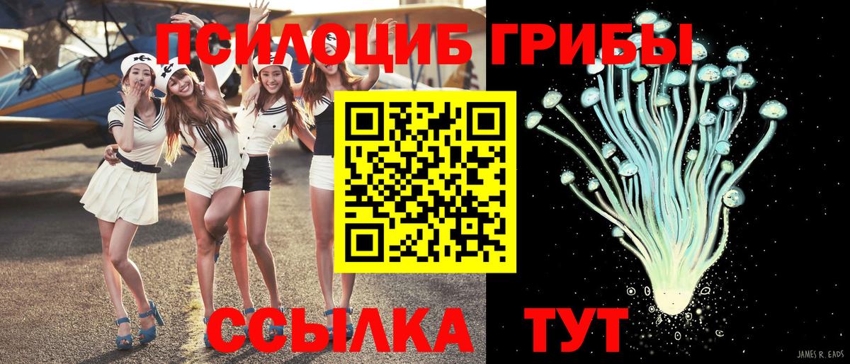 Курчалой  Псилоцибиновые грибы Psilocybine cubensis  купить наркоту  Вход с VPN 