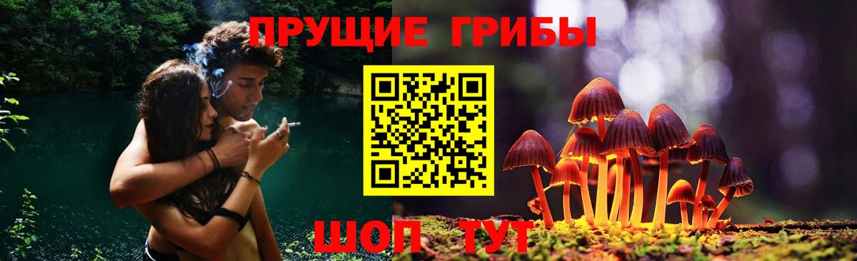 Галлюциногенные грибы прущие грибы Курчалой