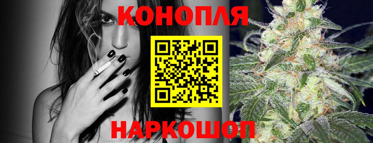 Конопля марихуана Курчалой